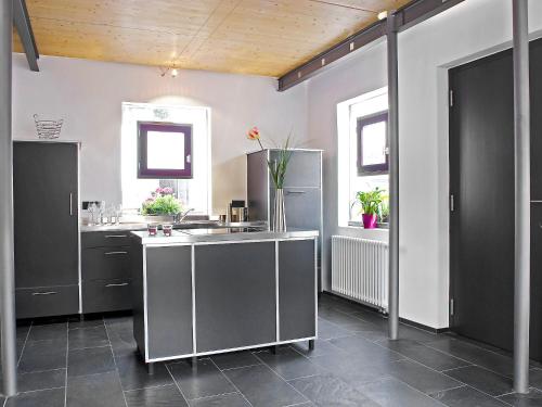 duża kuchnia z urządzeniami ze stali nierdzewnej i dwoma oknami w obiekcie Holiday Home Albergo Centro by Interhome w mieście Hüfingen