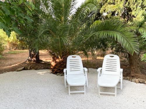 ラ・クロワ・ヴァルメにあるApartment Les Mas de Gigaro by Interhomeのヤシの木前に座る白い椅子2脚