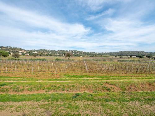 un champ avec une bande de vignes dans l'établissement Villa Marenco, à La Croix-Valmer
