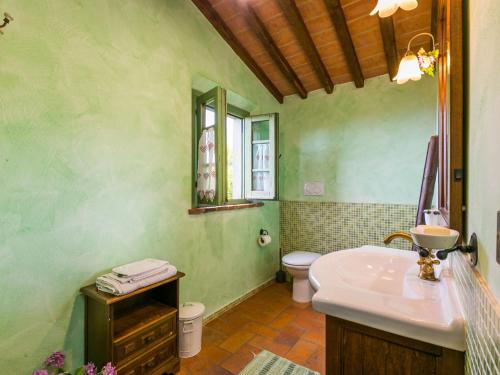 a green bathroom with a sink and a toilet at Holiday Home La Casina by Interhome in Rinecchi