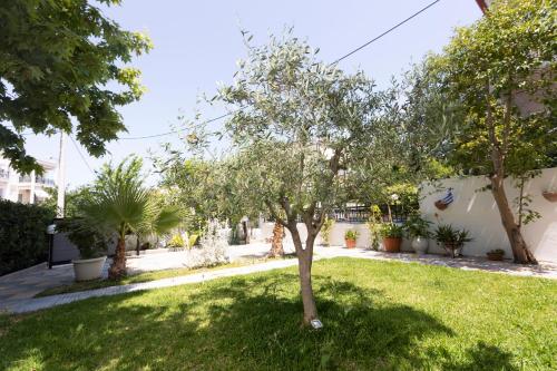 a tree in the middle of a yard at Anastasia Studios Hanioti in Hanioti