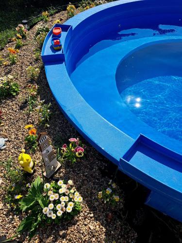 Piscina en o cerca de Csodarét Kúria