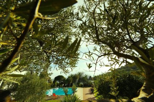 a view of a swimming pool through some trees at Kalos Relais in Catanzaro