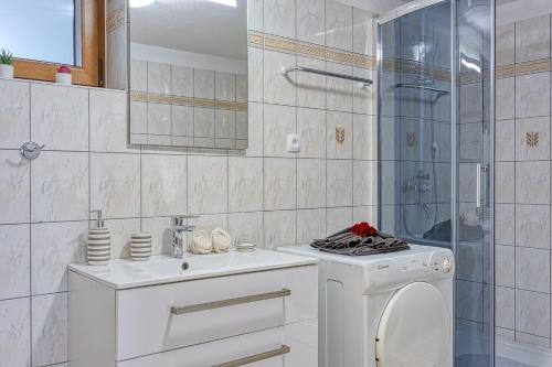 a bathroom with a washing machine and a shower at Holiday House Aida with Private Pool in Buzet