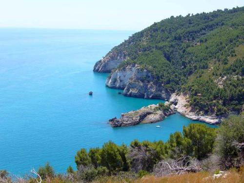 an island in the ocean with blue water and trees at Hotel Solaria in Rodi Garganico