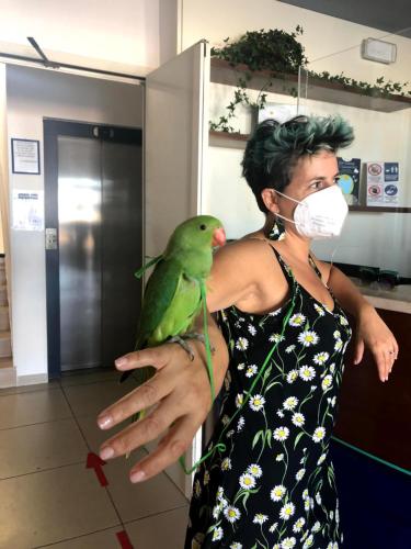 a woman wearing a face mask holding a green parrot at Hotel Atlantic in Senigallia