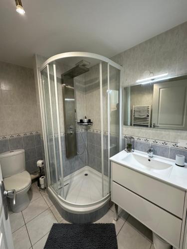 a bathroom with a shower and a toilet and a sink at La Rochelle sur l'eau - Studio in La Rochelle