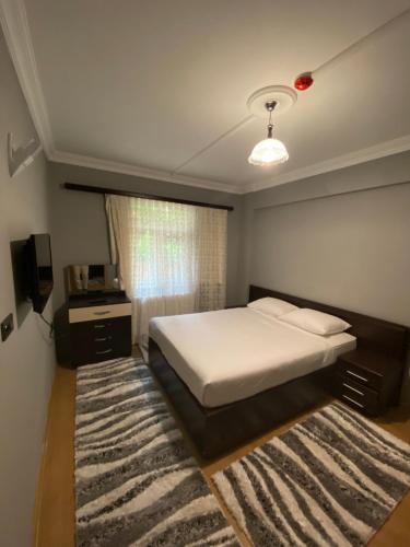 اوزنغول ابارت في أوزونغول: غرفة نوم بسرير وتلفزيون وسجادة