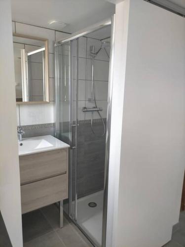 une salle de bain avec douche et lavabo dans l'établissement Le 4.03 proche centre ville, à Lannion