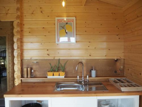 uma cozinha com um lavatório e uma parede de madeira em Ty Twt em Carmarthen