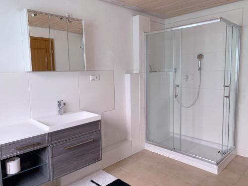a bathroom with a shower and a sink and a mirror at Große Wohnung mit 2 Schlafzimmern in Altensteig