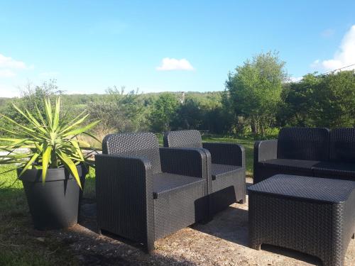 four wicker chairs and a table and a potted plant at La ferme de Roquedure in Montfaucon