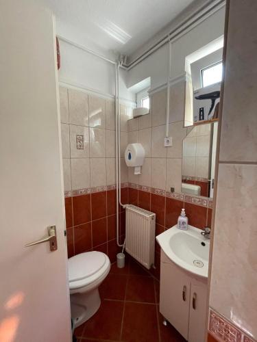 a bathroom with a toilet and a sink at Rózsa Lak Retro in Hajdúszoboszló