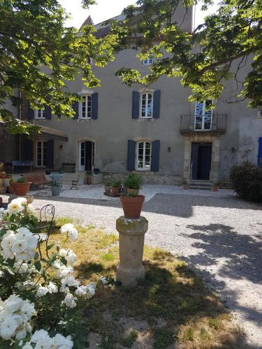 una casa grande con persianas azules y una planta en el patio en domaine de Capoulade, en Narbona