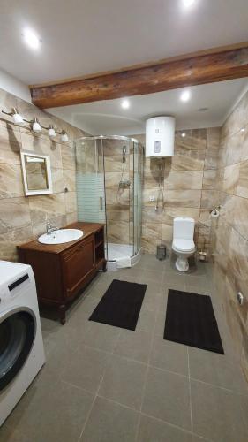 a bathroom with a shower and a sink and a toilet at Wierzchowina Relax & Reset in Łęki Dolne