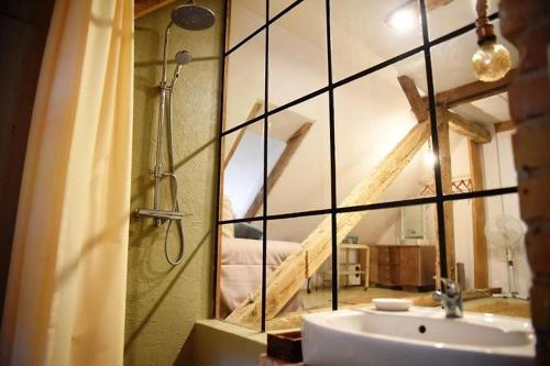 a bathroom with a shower and a sink with a mirror at Apartamenty Pod Sosnami in Sopot
