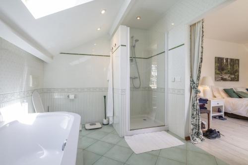 une salle de bain avec douche et baignoire dans l'établissement Boutouzet, à Villeneuve-sur-Lot