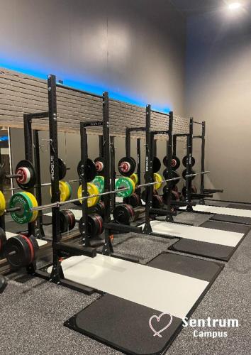 a row of dumbbell racks in a gym at Bakkalandet Hotel in Kolvereid