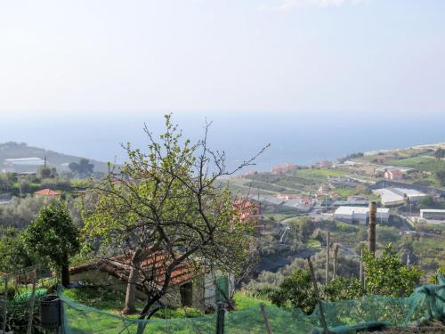 a view of a town from a hill with a tree at Apartment Ruscus by Interhome in Terzorio