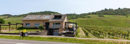 a house on the side of a road with a vineyard at Weingut J. A. Meyer in Wintrich