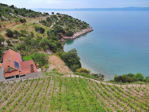 an aerial view of a house on a hill next to the ocean at Holiday Home Micheli by Interhome in Gornji Humac