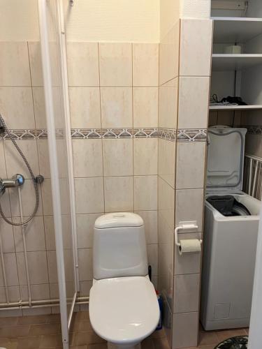a bathroom with a toilet and a shower at Apartment Huvilakatu in Kokkola
