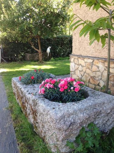 a stone planter with pink flowers in a garden at Casitas Del Huerto in La Alberca