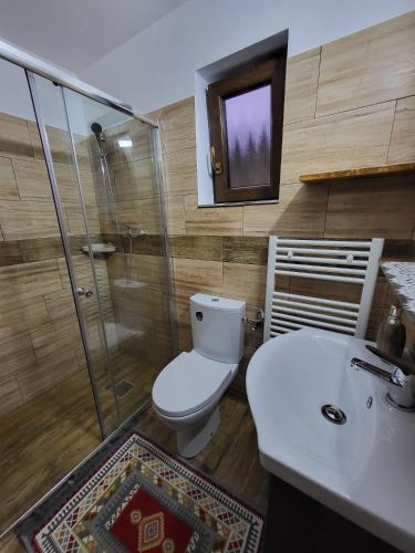 a bathroom with a toilet and a shower and a sink at Casa Cornelia in Borsa
