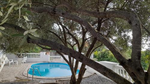 a tree with a pool in front of a house at Villa Dedin in Utjeha