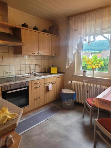 een keuken met een wastafel, een fornuis en een raam bij Köster & Hahnemann in Rinteln
