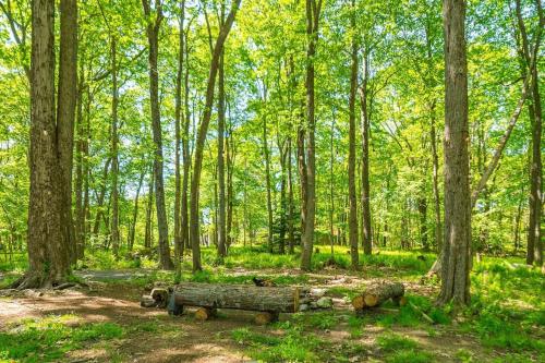 a wooden bench in the middle of a forest at *Entire House • Sleeps 9 • Hot tub • Pets Welcome* in McHenry