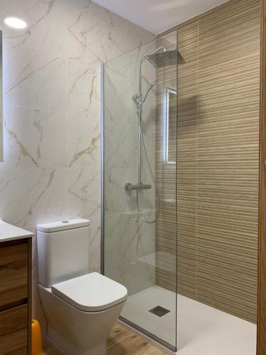 a bathroom with a toilet and a glass shower at Castiñeiras Street 2 in Sarria