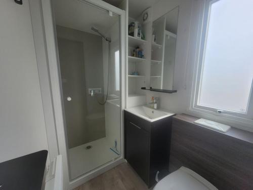 une salle de bain avec une douche, un lavabo et des toilettes dans l'établissement MOBIL HOME 3 CHAMBRES N° 62 PARC ROSELIERES, à Saint-Hilaire-de-Riez