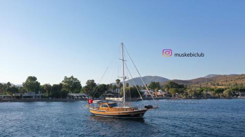 Φυσικό τοπίο κοντά σε αυτή η βίλα