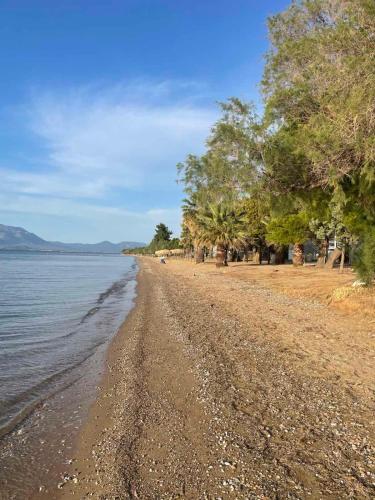a beach with trees and water on a sunny day at Μοντέρνα εξοχική μονοκατοικία με ιδιωτική πισίνα! in Khalkoútsion
