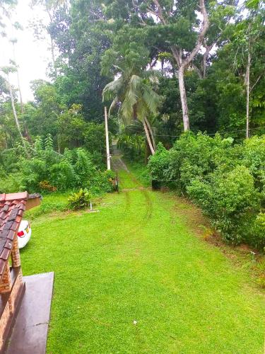 a yard with green grass and trees and bushes at Cinnamon Villa in Ahungalla