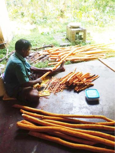 a man sitting next to a pile of wood at Cinnamon Villa in Ahungalla