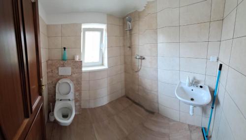 uma casa de banho com um WC, um lavatório e um chuveiro em Apartmán Store em Vracov