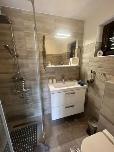a bathroom with a shower and a sink and a mirror at Apartment Ines in Splitska