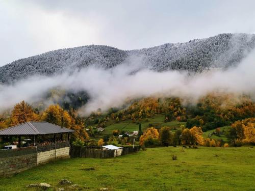 Fotografie z fotogalerie ubytování Hotel Baba Nikoloz v destinaci Mazeri
