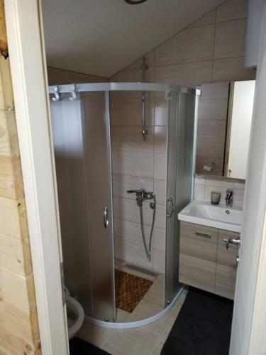 a bathroom with a shower and a sink at Milica 2 Mezdrejska 87 A in Crni Vrh