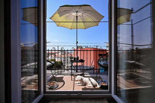 '2R' City Center Holidays and Workstays