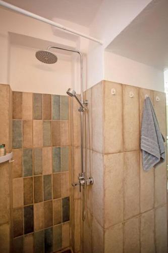 a shower with a glass door in a bathroom at Nice & Cosy Mykonos studios in Megali Ammos