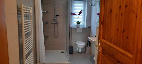 a bathroom with a shower and a toilet and a sink at Ferienwohnung an der Lahn in Limburg an der Lahn