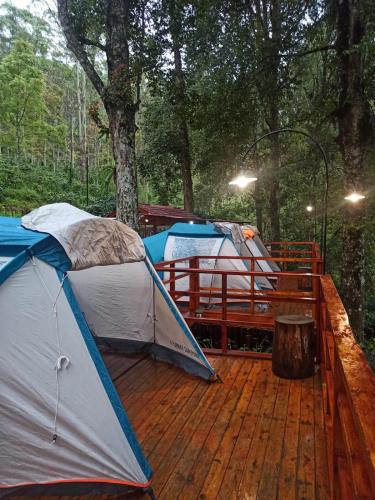 two tents on top of a wooden deck at Mala Green Camp in Pengalengan