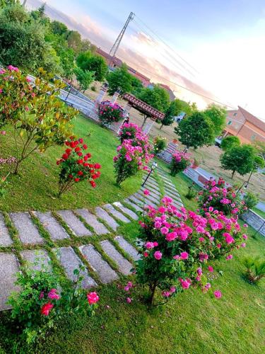 a group of pink flowers on the grass at B&B da Mary in Matrice