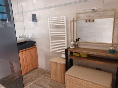 ein Bad mit einem Waschbecken und einem Spiegel in der Unterkunft Vil'Ariane in Sainte-Marie