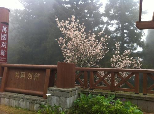 
a wooden fence with a bunch of flowers in front of it at Wankou Hotel in Zhongzheng
