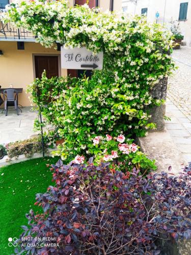 a sign on a bush with flowers in front of a building at IL CORTILETTO - Verduno in Verduno