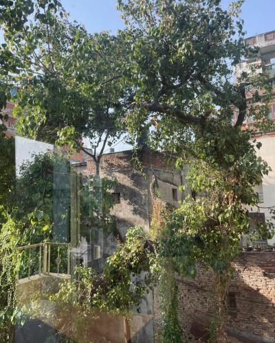 Giardino di Rooftop Studio and 2BHK Apartments in Kathmandu's most happening place
